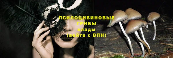 эйфоретик Беломорск