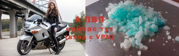 эйфоретик Беломорск