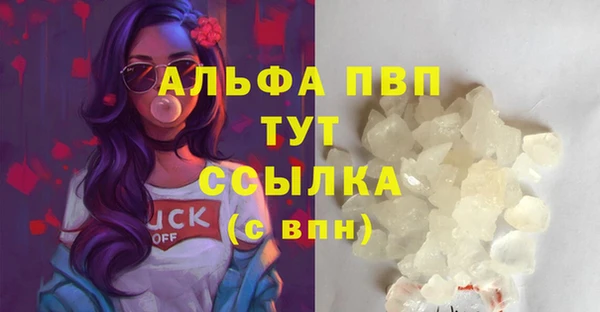 ГАЛЛЮЦИНОГЕННЫЕ ГРИБЫ Пестово