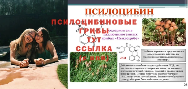 эйфоретик Беломорск