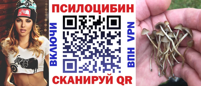 купить наркоту  Кодинск  Галлюциногенные грибы Magic Shrooms 